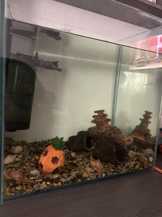 Аквариум 100 литров