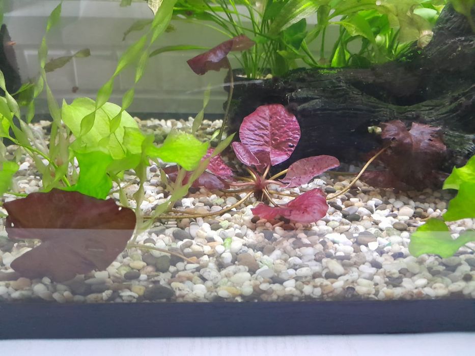 Аквариум 110 литров