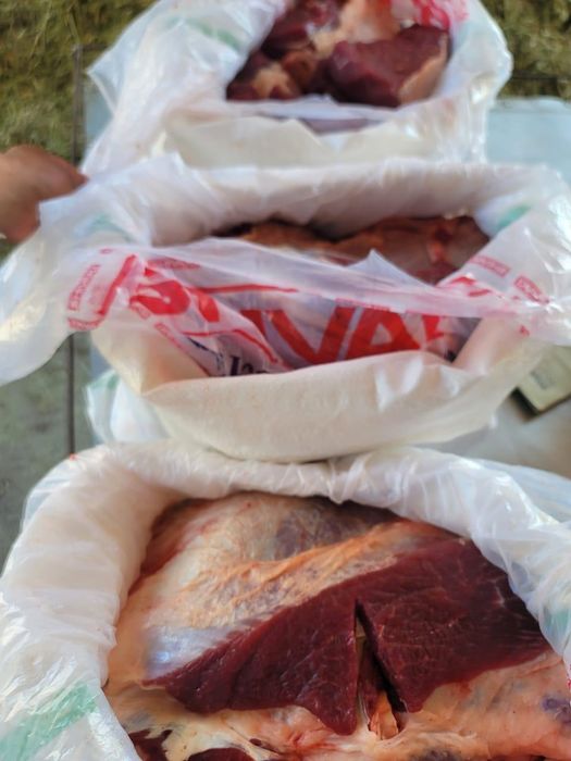 Жылқы еті, қазы, жал жайа