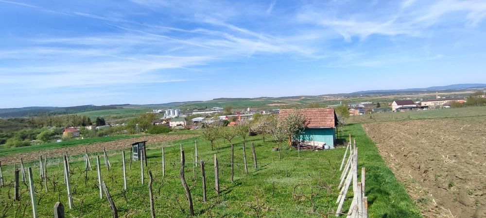 Téren intravilan de vanzare