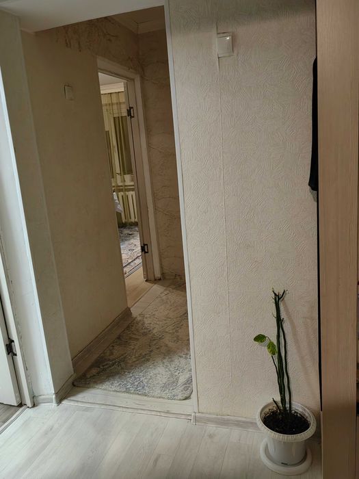 Опытныйдан уй сатылады