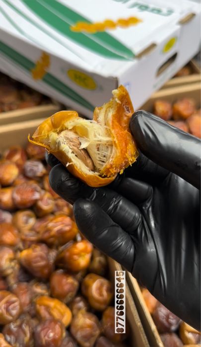 Суккари, Финики, Хурма