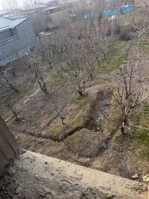 Oltin tepa toshmi posti