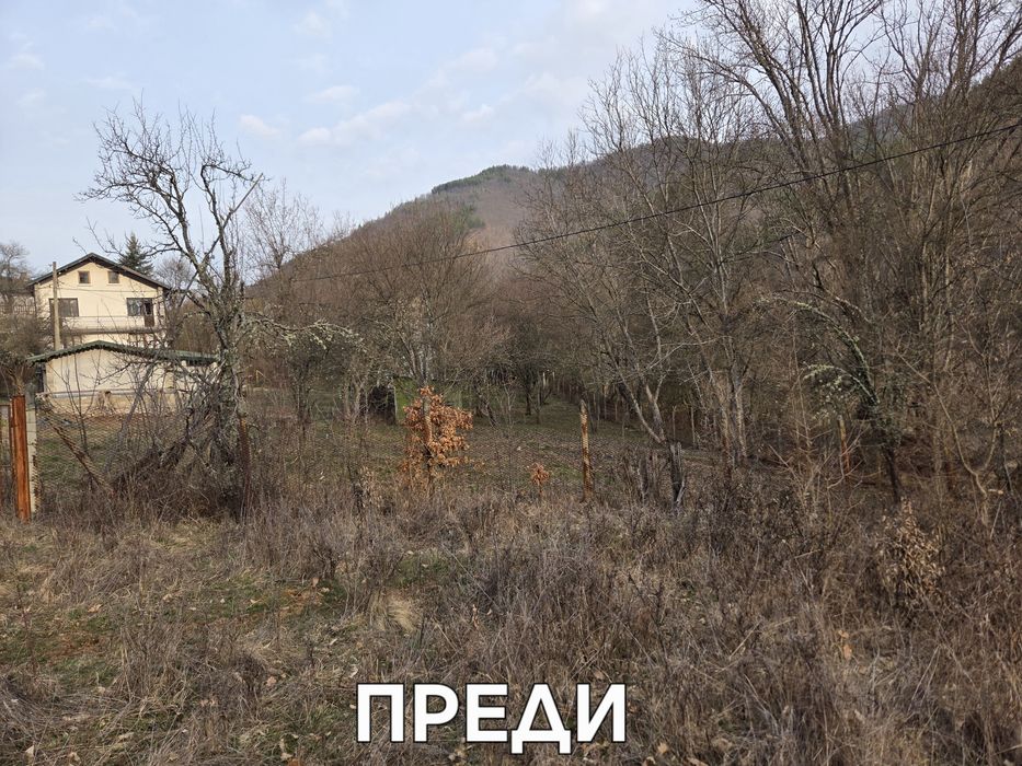 Почистване на Парцели,имоти и запустели дворове