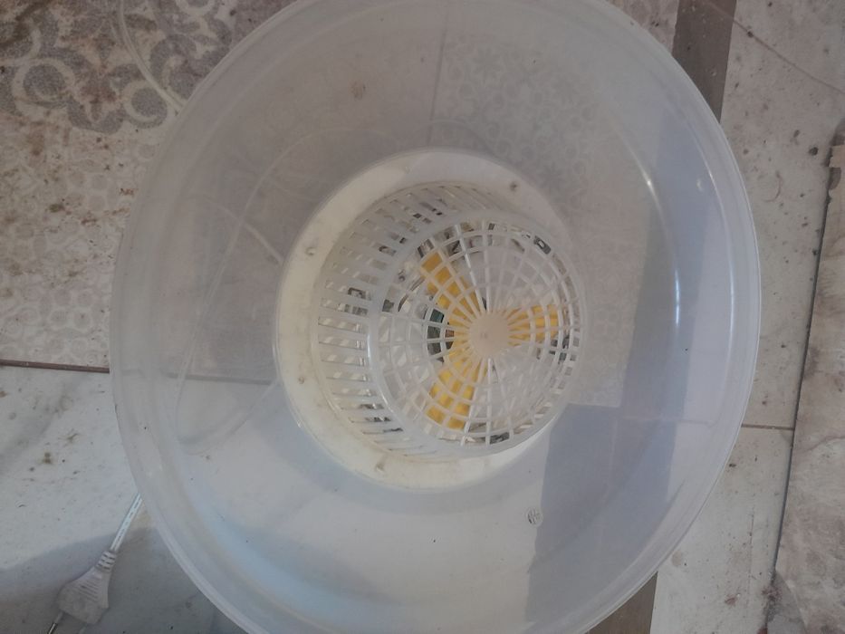 Vind incubator automat