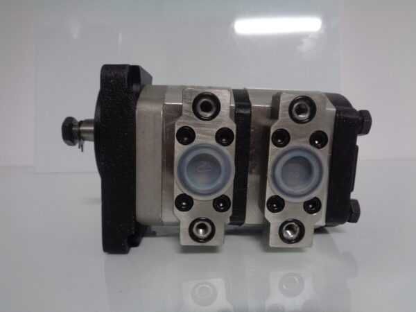 Pompa Landini 1000 1000 DT vigneti Class Dominator  Massey 3539857M91