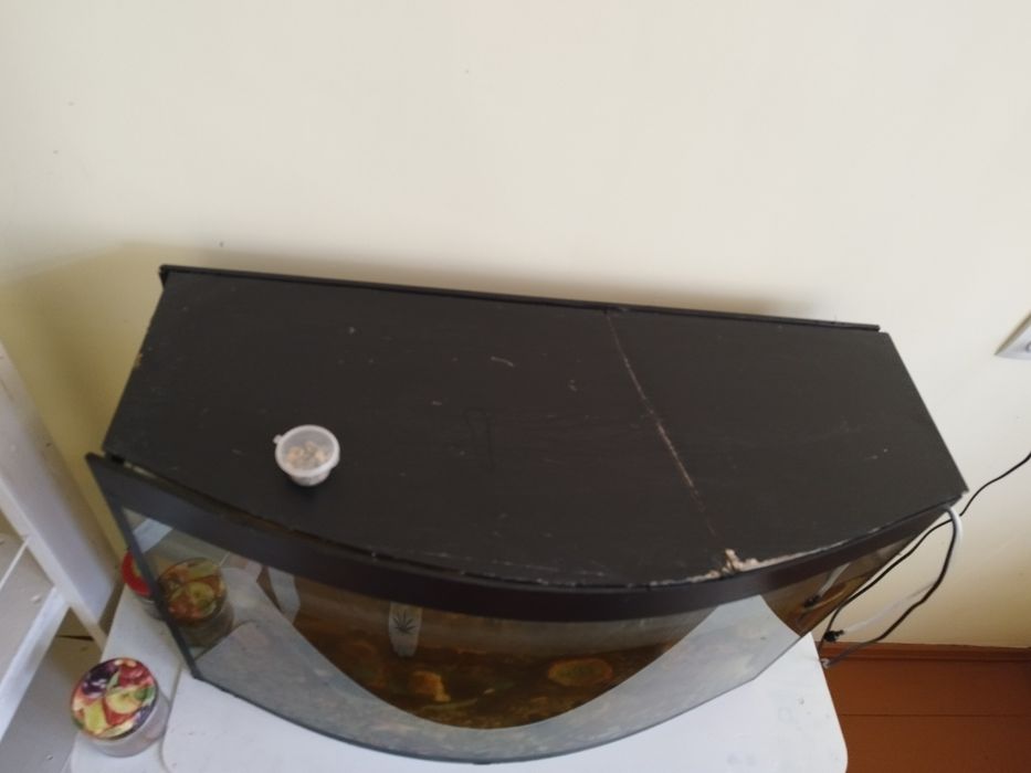 Аквариум 100 литров