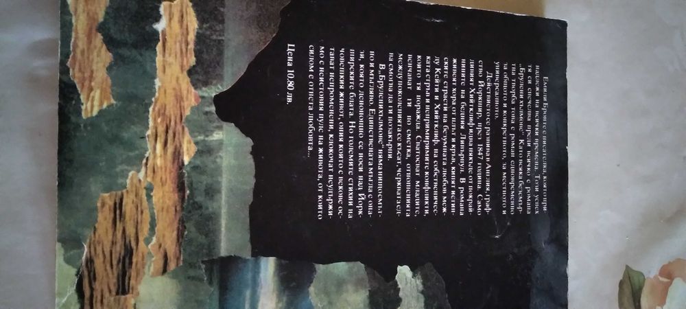 Брулени хълмове - книга