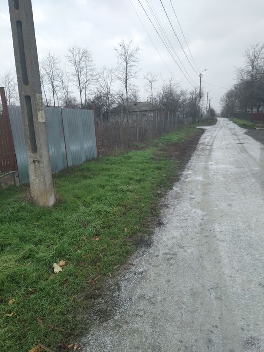 Teren sat Rasa;com Gradistea