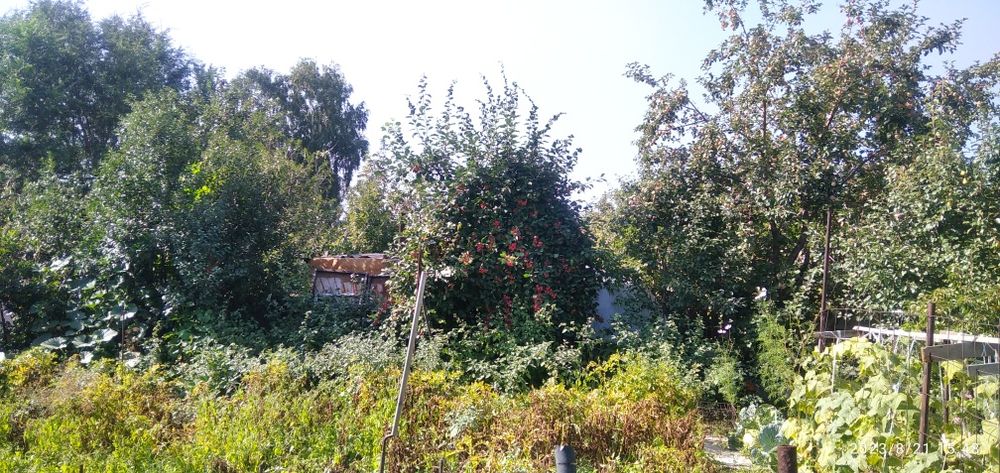 Дача недвижимость