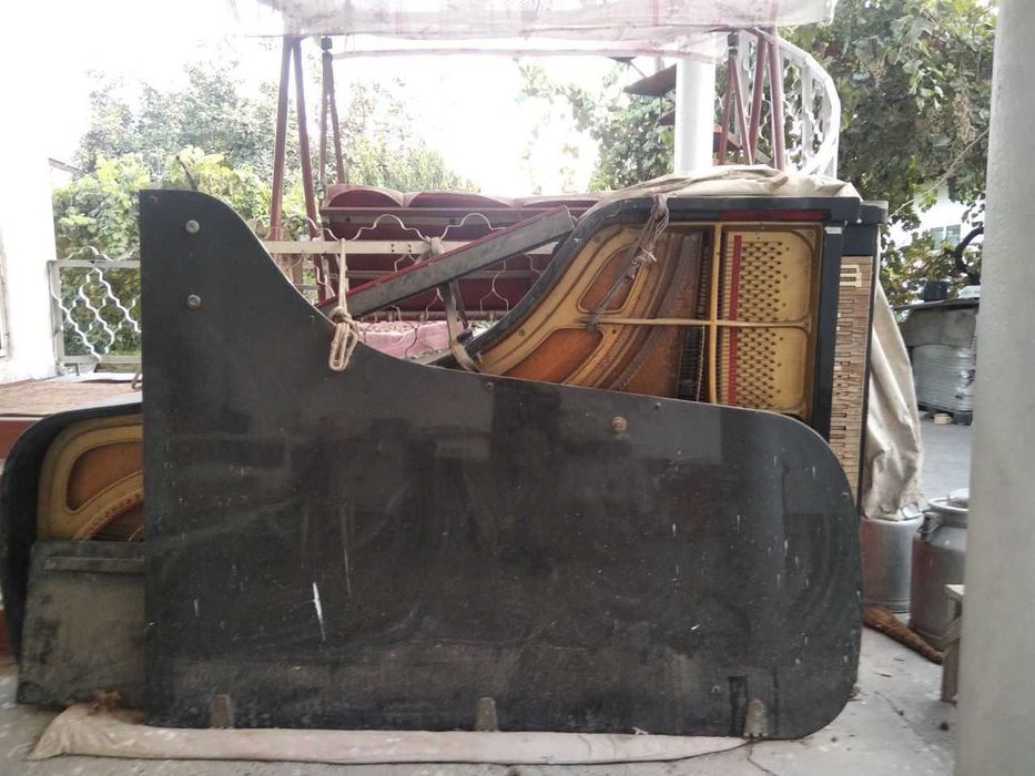 Рояль Estonia Эстония