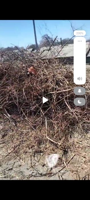 Отдам,самовывоз зилок будет