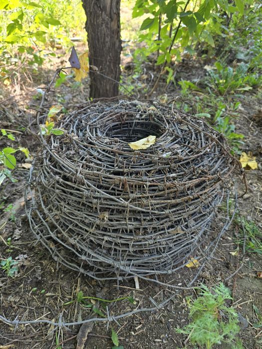 Продам моток колючей проводки