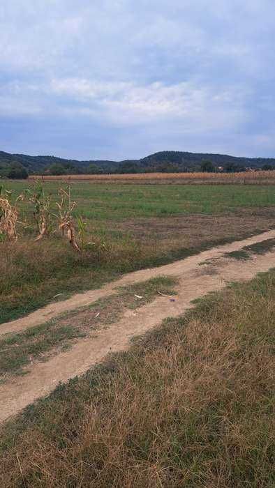 Mărăcineni Argeșelu teren 3500m2