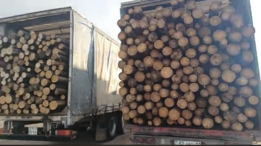 Трал, рефрижератор, тент, газель, фура