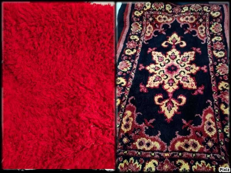 Два нови китеника