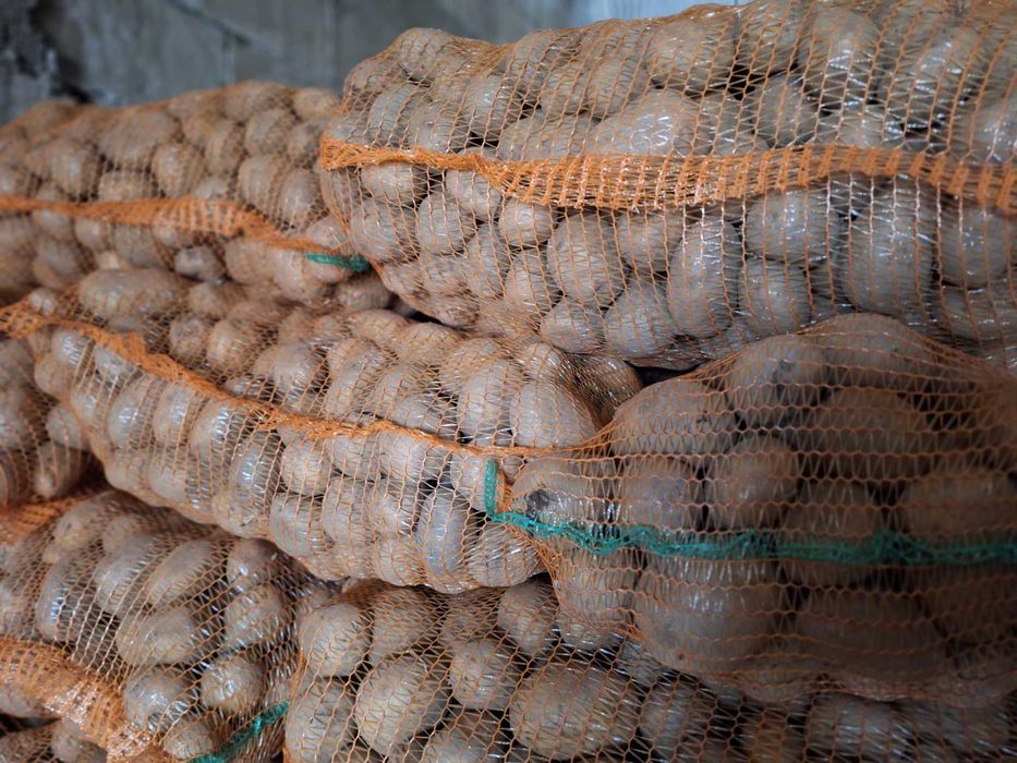 Cartofi consum Esme so Octa