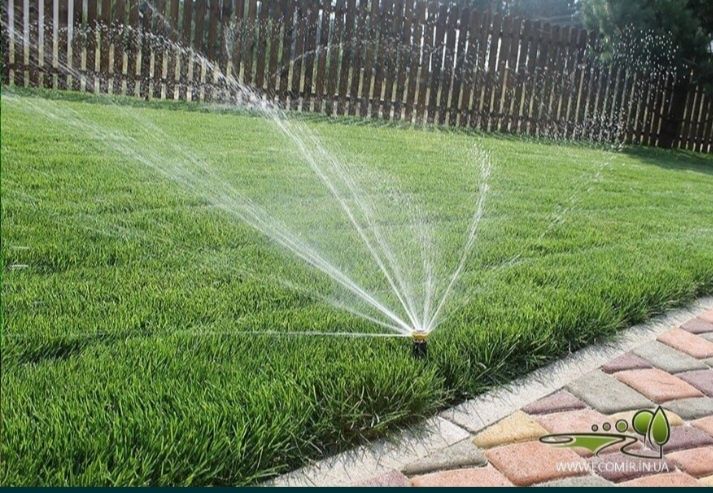 Газон и автополив