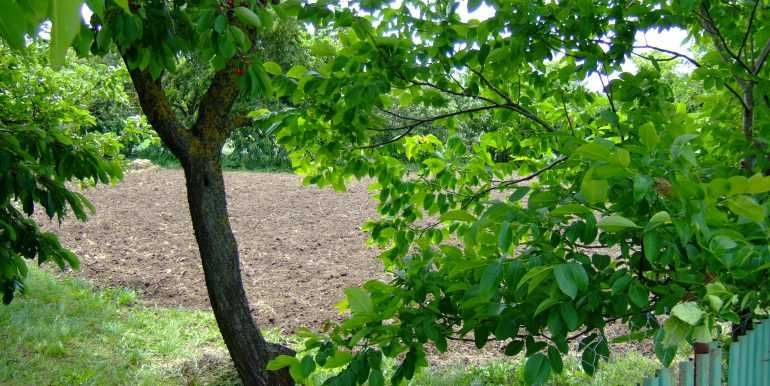 Продава се Парцел в с. Соколово, Област Добрич - 850 кв.м за 29 €/кв.м - Снимка #4