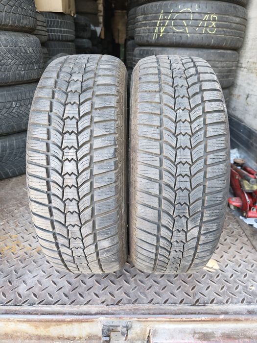 Sava Eskimo HP2 205/60/16