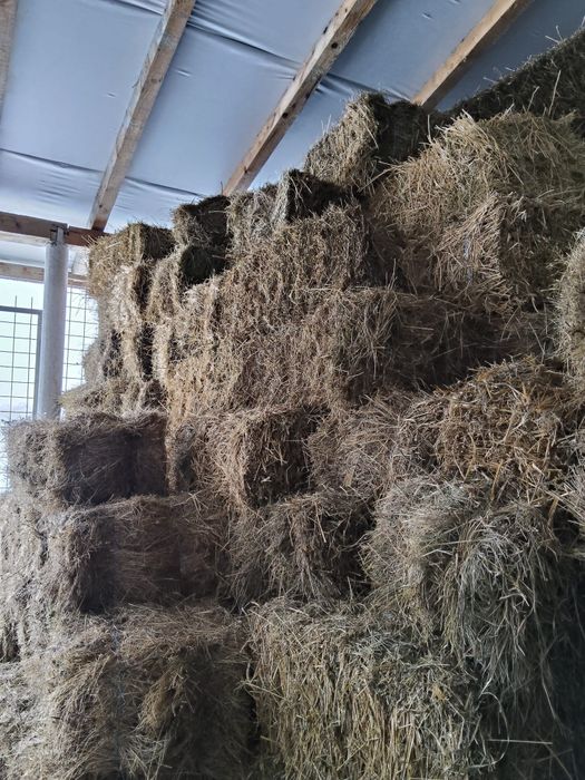 Baloți de otava  dreptughiulari