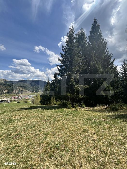 Teren in Vatra Dornei, str Rosu, 8450 mp, extravilan + intravilan