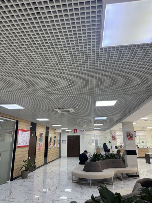 Grilyato grilata grilyanda kletka potolok setka patalok grelata girily