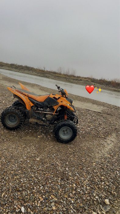 Vand Atv aeon 220