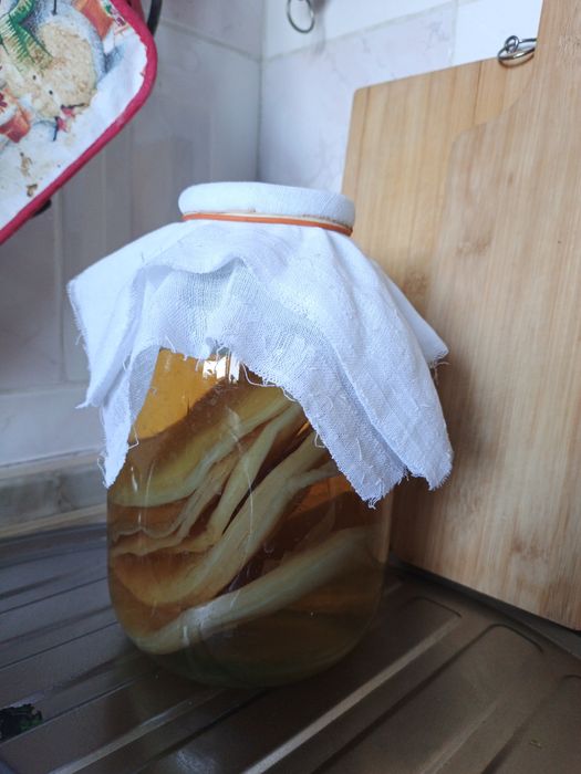 Чайный гриб, квас, (комбуча)