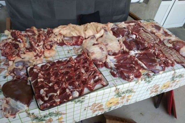 Кассоб хизмати Qassob xizmati