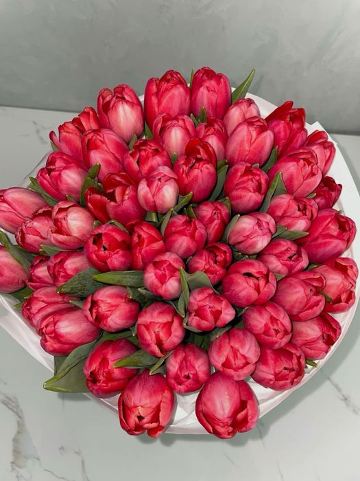 Тюльпаны предзаказ на 8март