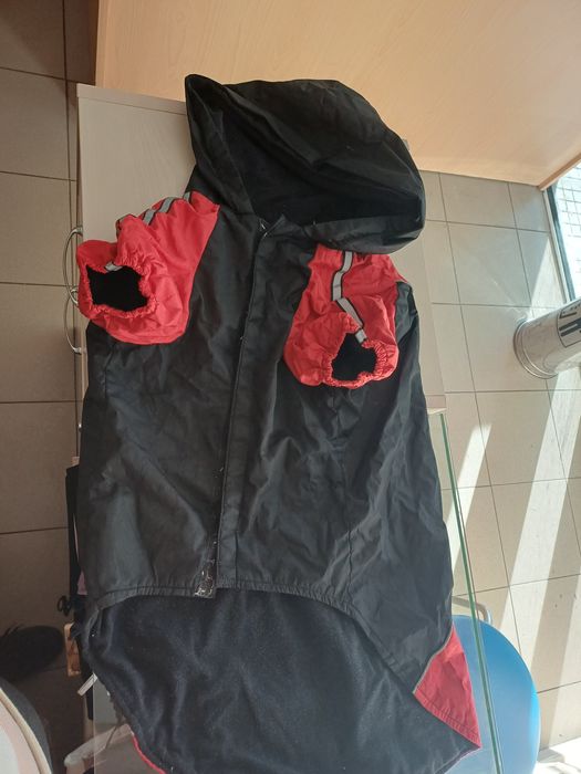 Яке за куче запазено