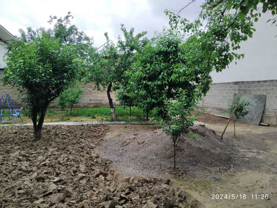 Эшонгузар ситида 3,15 сотих ер сотилади Мўлжал: Эшонгузар райцентр.