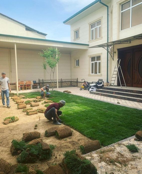 Газон роскш всшога дома