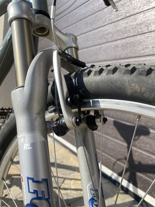 RETRO MTB: Specialized Rockhopper (L)
