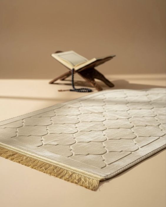 Боксы с Жайнамаз