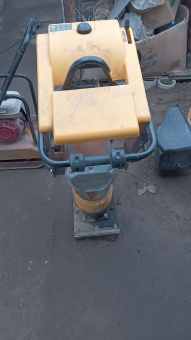 Вибронога кенгуру