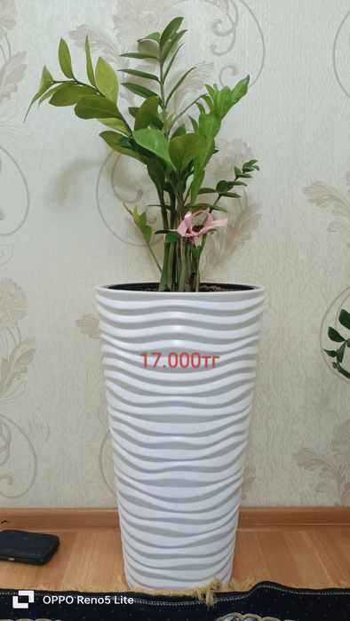 Сатылады 15.000тг