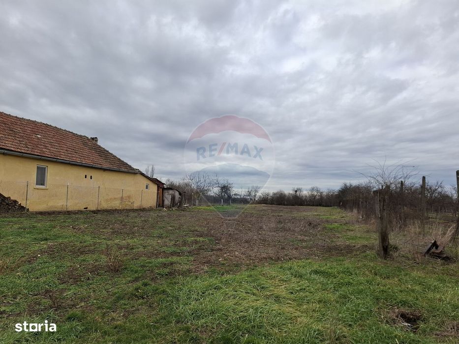 Teren intravilan 1,241mp Frumușeni, Arad