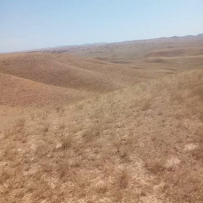 Продам КХ 27 га земли, пастбище