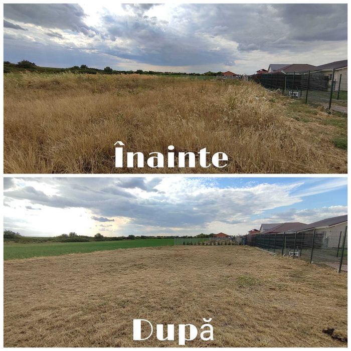 Tai , Tund Iarbă  Defrișări – intervenții rapide/servicii profesionale