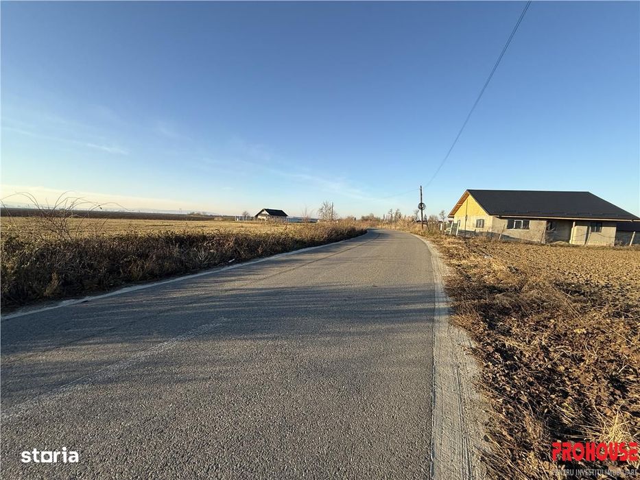 Letea Veche- Holt - 3.600mp - extravilan