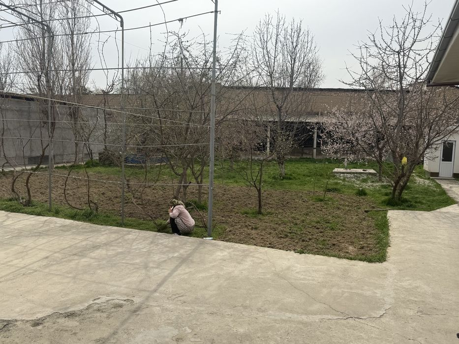 Uy sotiladi koooota 12 sotix дом