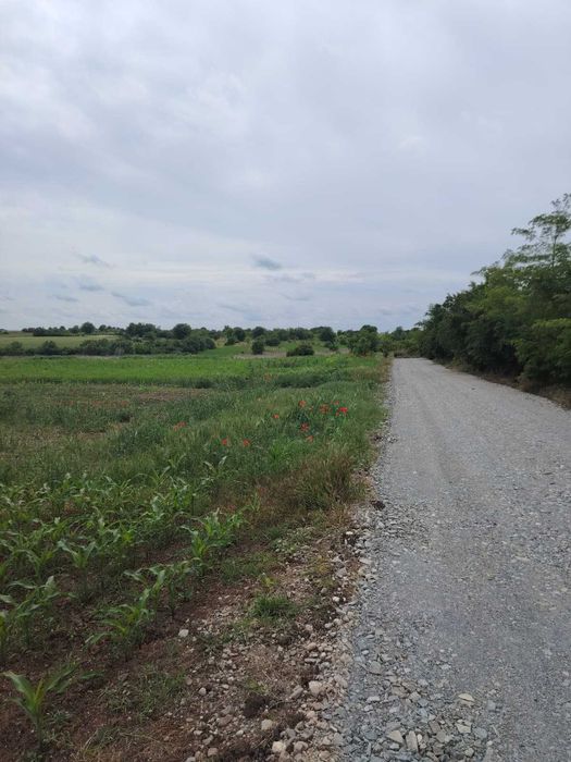 Vand teren Mariuta - Belciugatele-1000mp - Intravilan - 30€/mp-Direct Proprietar
