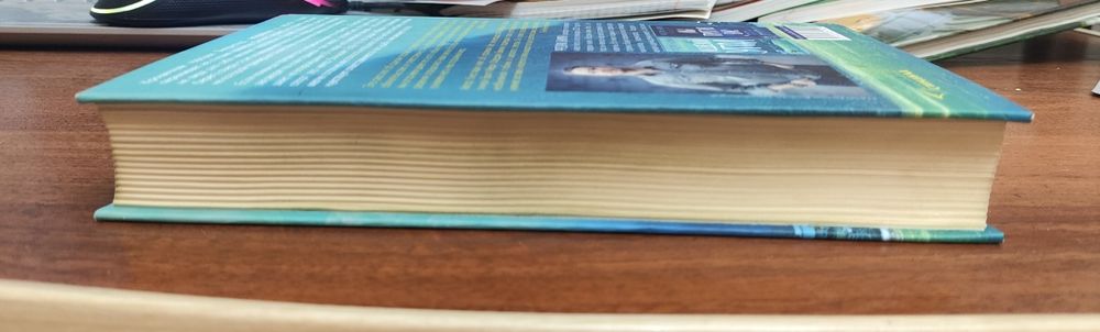 Книга "Медвежий угол"