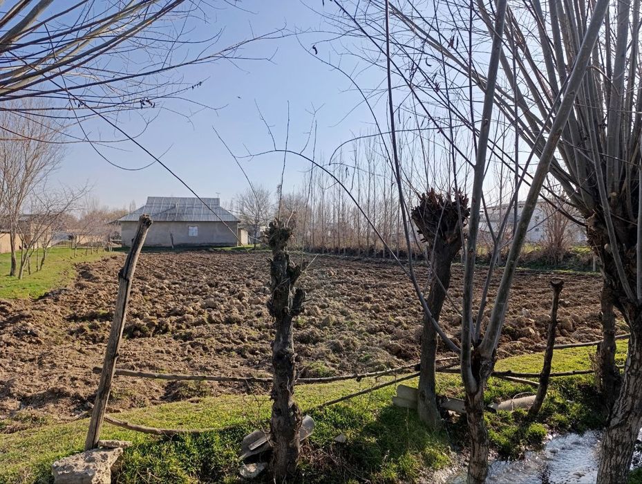 Molxona sotiladi - Sirdaryo viloyati Sayxunobod tumani