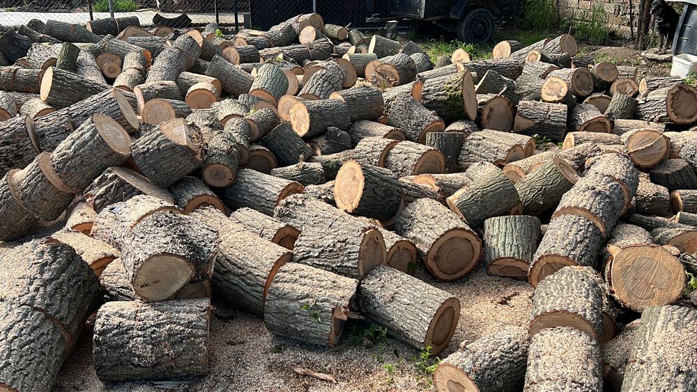 Дърва за огрев варна