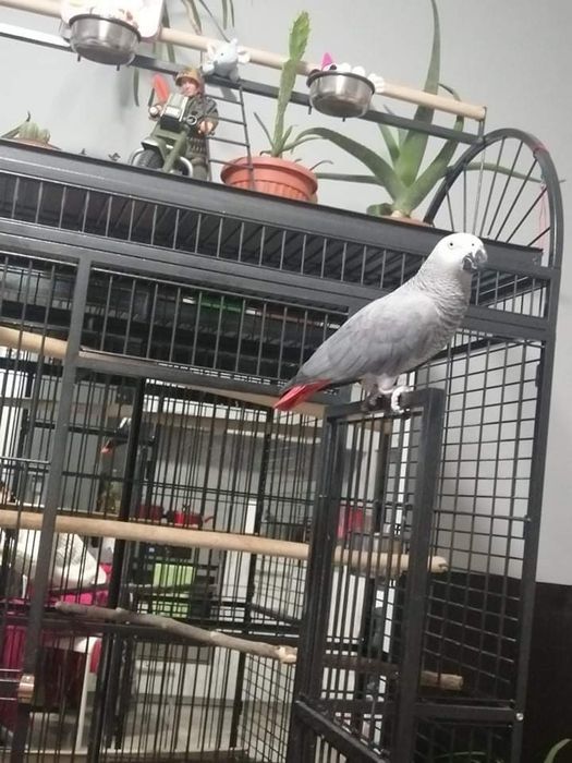 Продавам голяма клетка