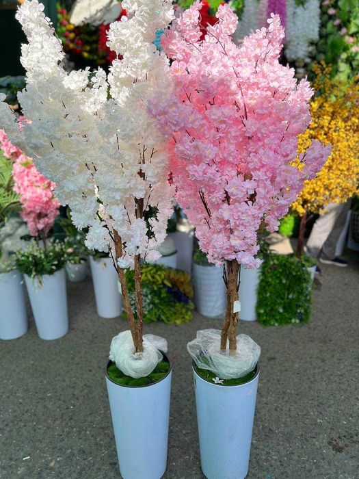 Декоративные деревья — зелень без ухода!