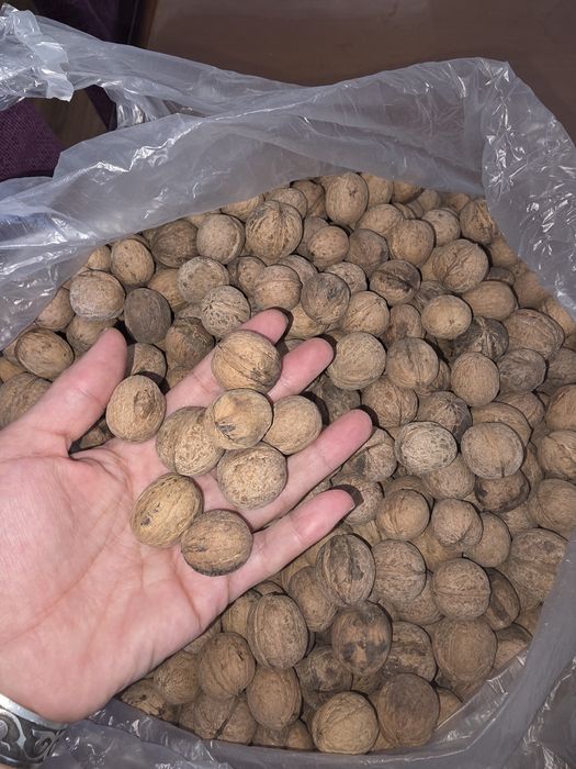 Жаңғақ сатылады  дәмді